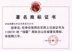http://www.rmldtzi.cn/2013/ShanDong/pho/rongyu/1136731.jpg